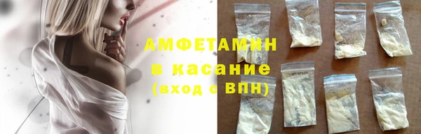 прущие грибы Мегион
