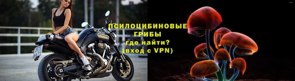 прущие грибы Мегион