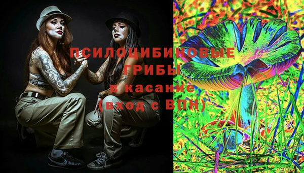 прущие грибы Мегион