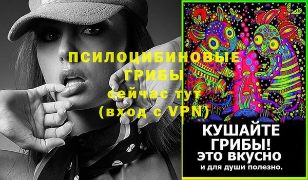 прущие грибы Мегион