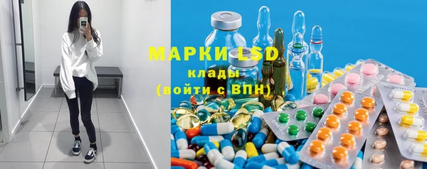 прущие грибы Мегион